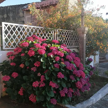 Daire Casa Reboredo Pontevedra