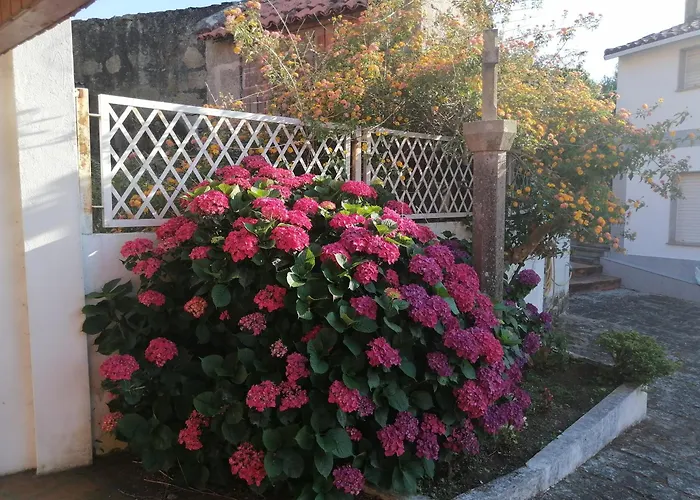 Διαμέρισμα Casa Reboredo Ποντεβέντρα